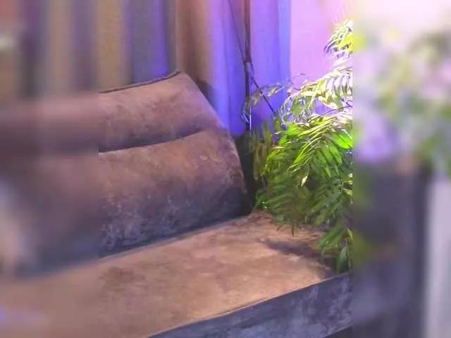 Freechat Hotksy on BongaCams