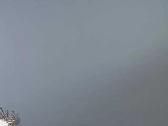 BongaCams MisteryBlush is Freechat MisteryBlush — Kind men