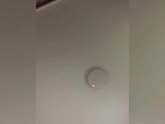 Freechat OriginalHOOLi on BongaCams