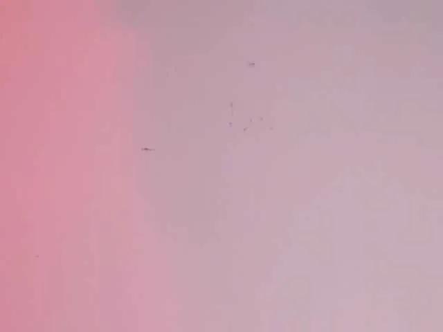 BongaCams Pamela-Velvet is Freechat Pamela-Velvet — Sound of tips $ -
Vibrations in my pussy -
To be #1