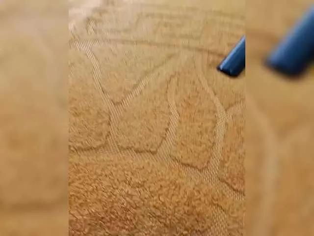 RosFair on BongaCams