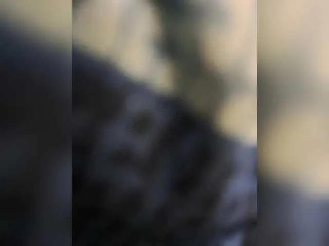 BongaCams SeductiveSapphire is Freechat SeductiveSapphire — Freechat on BongaCams