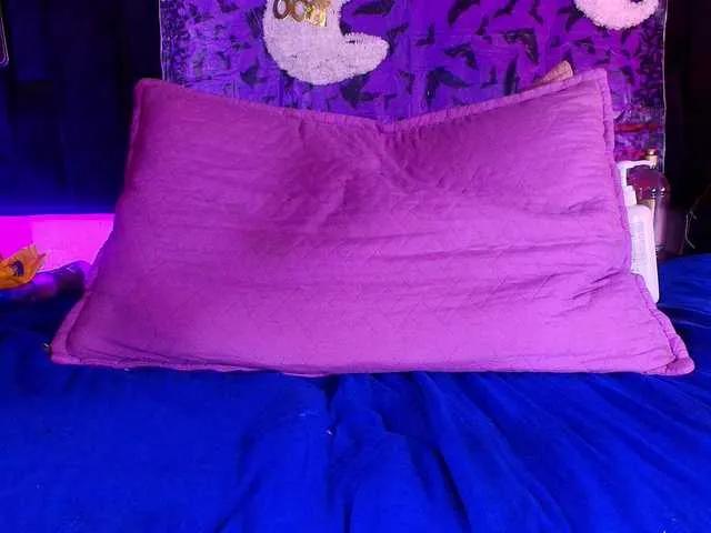 Offline shels-loreds on BongaCams