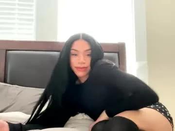 Freechat dynasty313 on Chaturbate