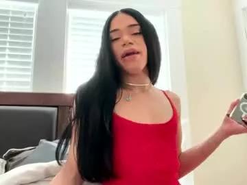 Freechat dynasty313 on Chaturbate