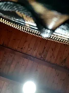 Freechat CurlyElisa on StripChat