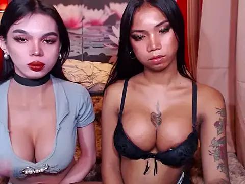 StripChat TWINKTRANSSHANEL is Freechat TWINKTRANSSHANEL — SUCK MY COCK LIKE A GOOD WHORE!